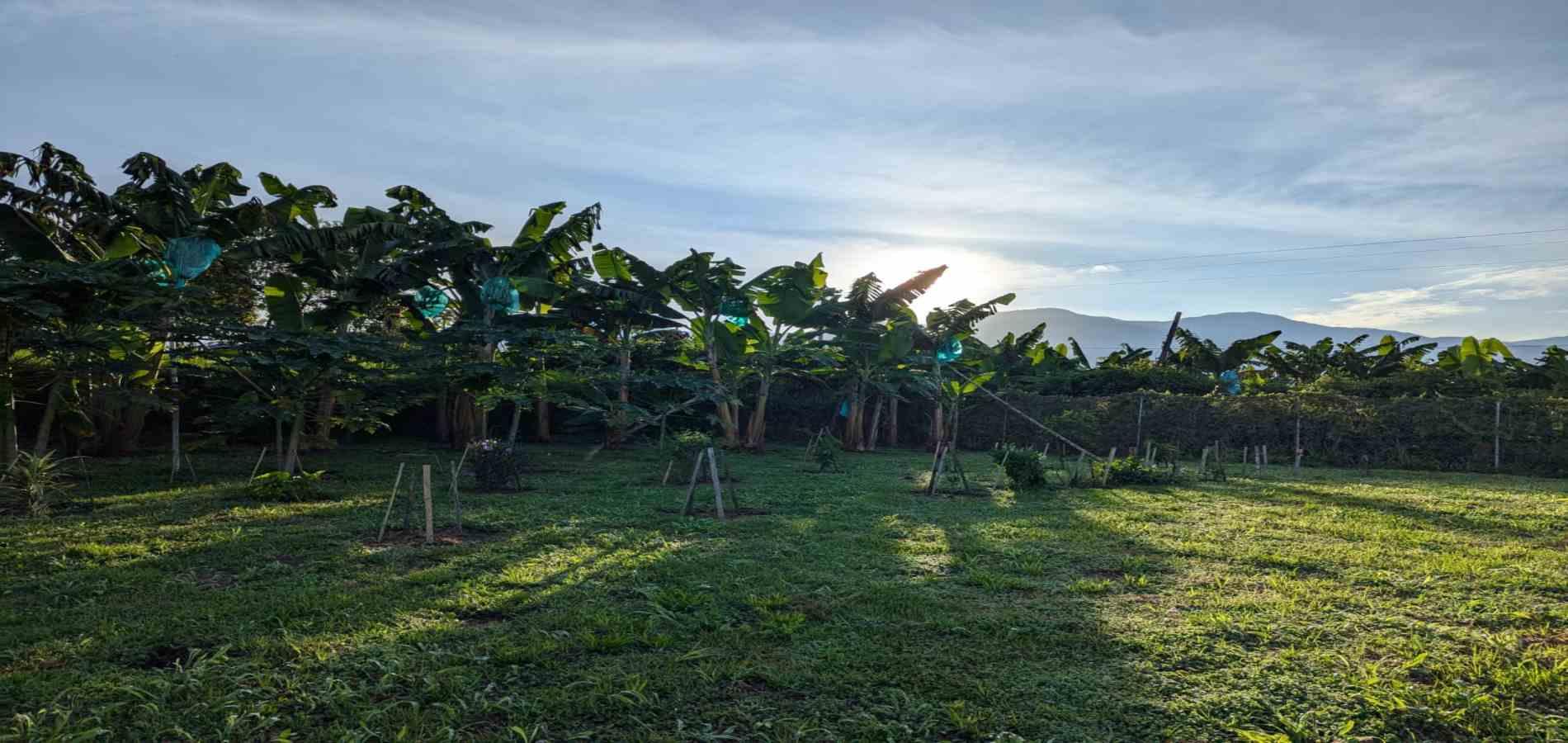 Foto de Casa campestre en Venta en Vereda calle larga, Armenia  - 23 - 279065011