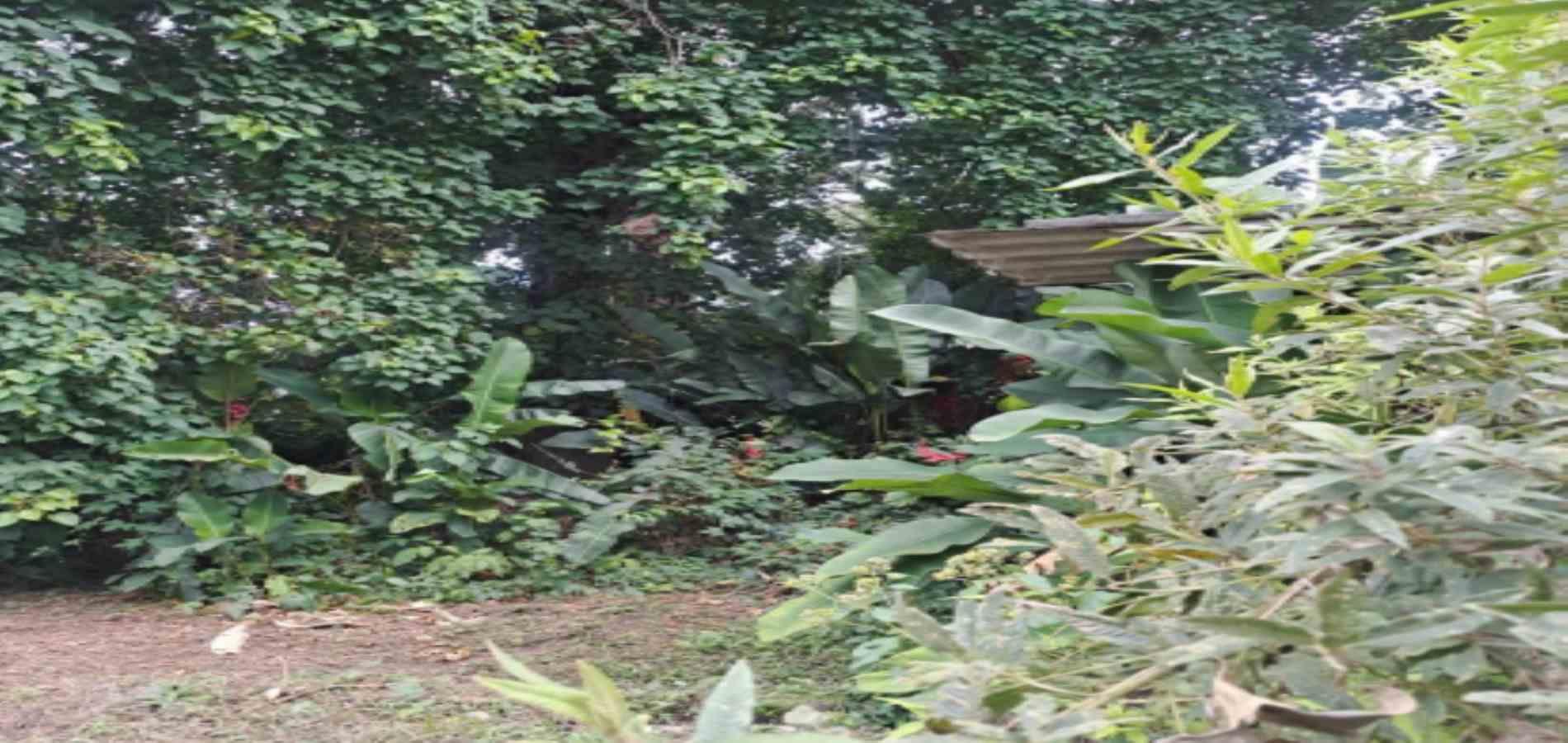 Foto de Lote / terreno en Venta en Las pavas, Manizales - 12 - 279059784