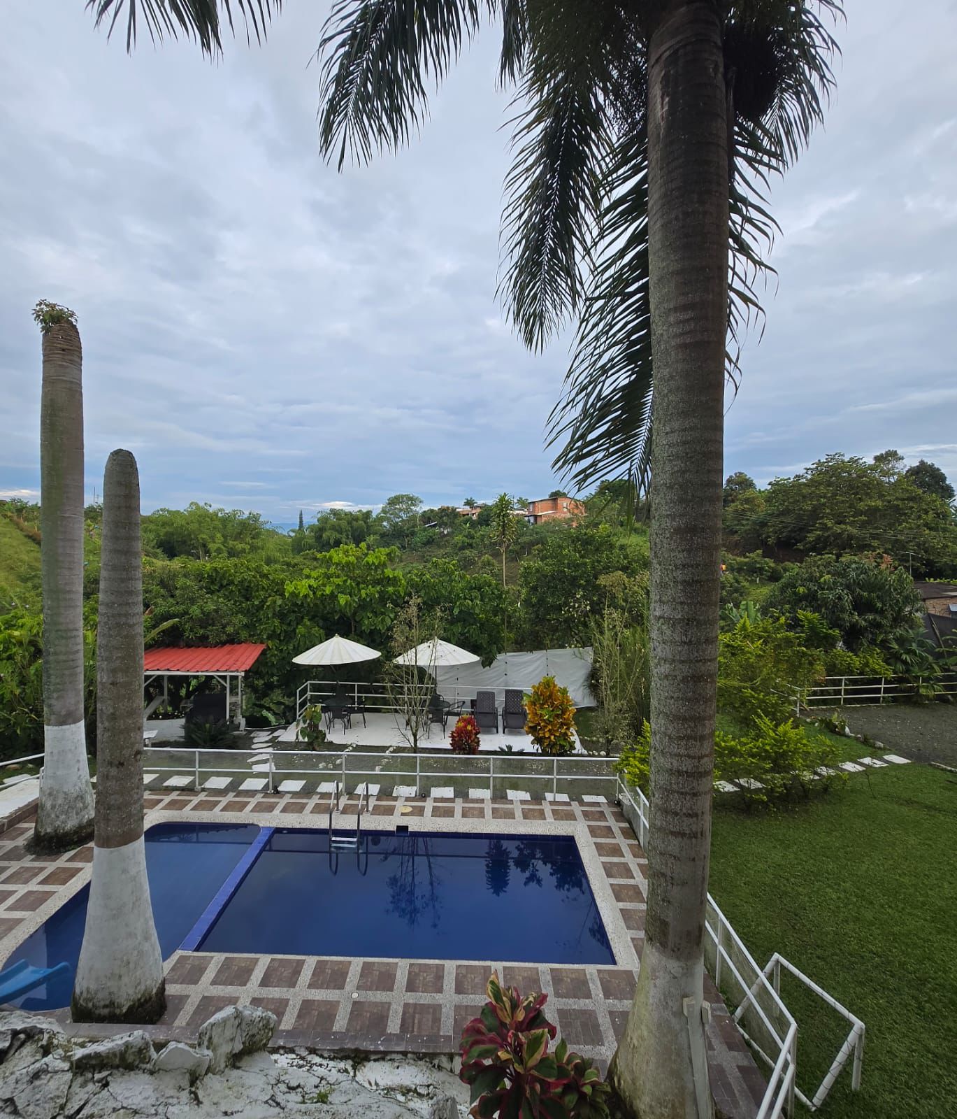 Foto de Finca en Venta en Morelia, Pereira - 20 - 279063954