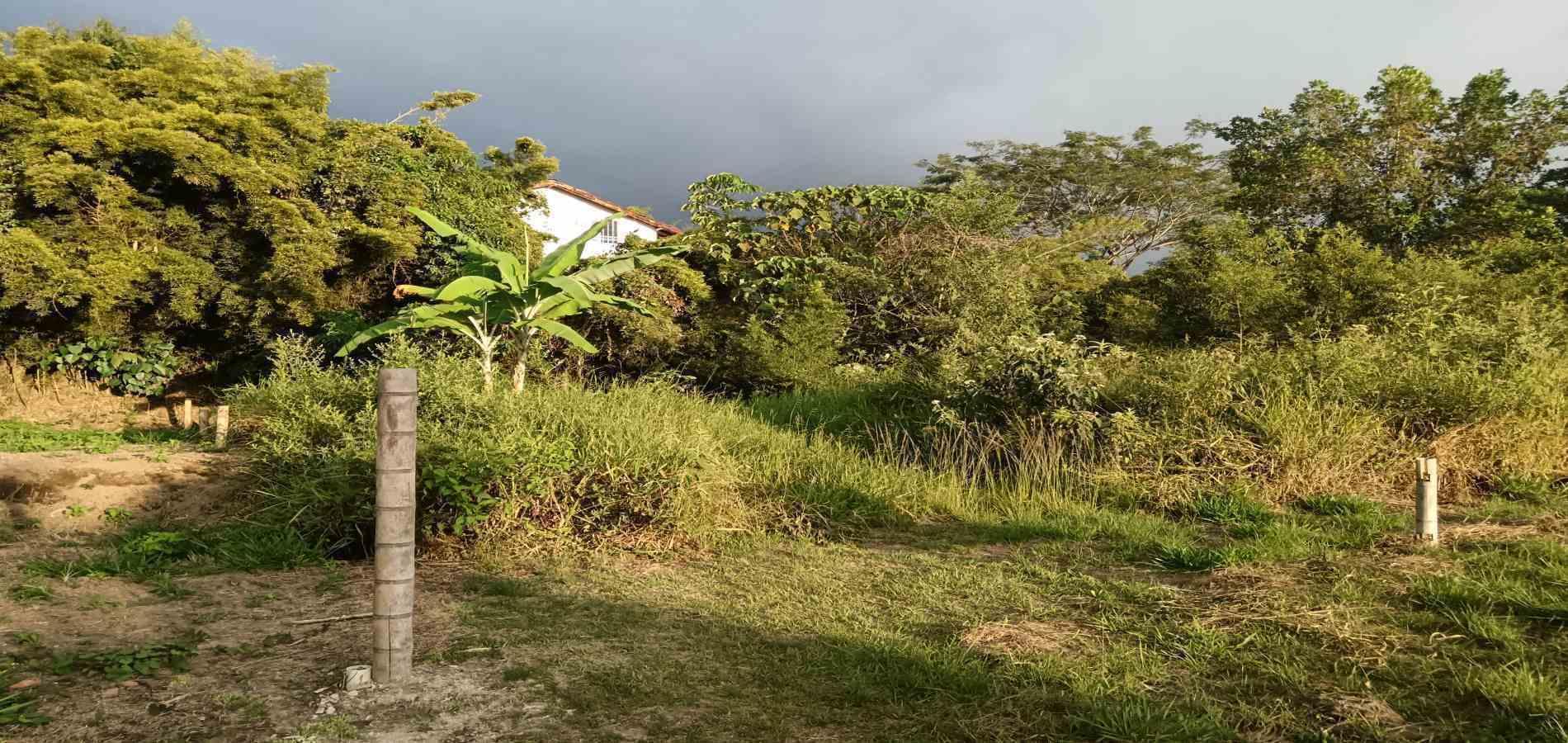 Foto de Lote / terreno en Venta en UrbanizaciÓn santana, Armenia  - 24 - 279059323