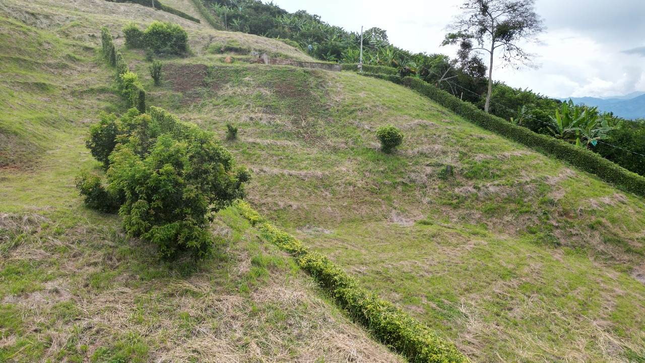 Foto de Lote / terreno en Venta en Vereda santagueda, Palestina - 2 - 279063396