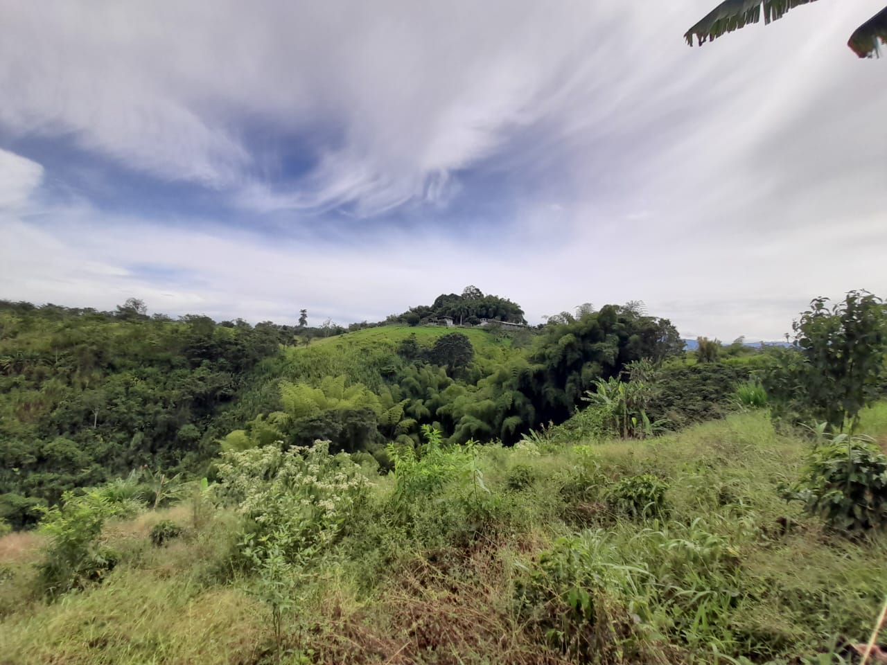 Foto de Lote / terreno en Venta en Arabia, Pereira - 20 - 279059189