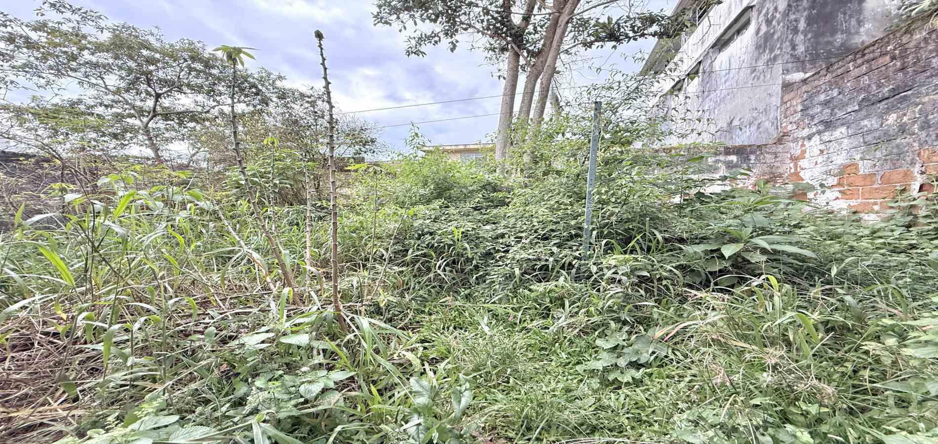Foto de Casa en Venta en Maraya, Pereira - 23 - 279063038