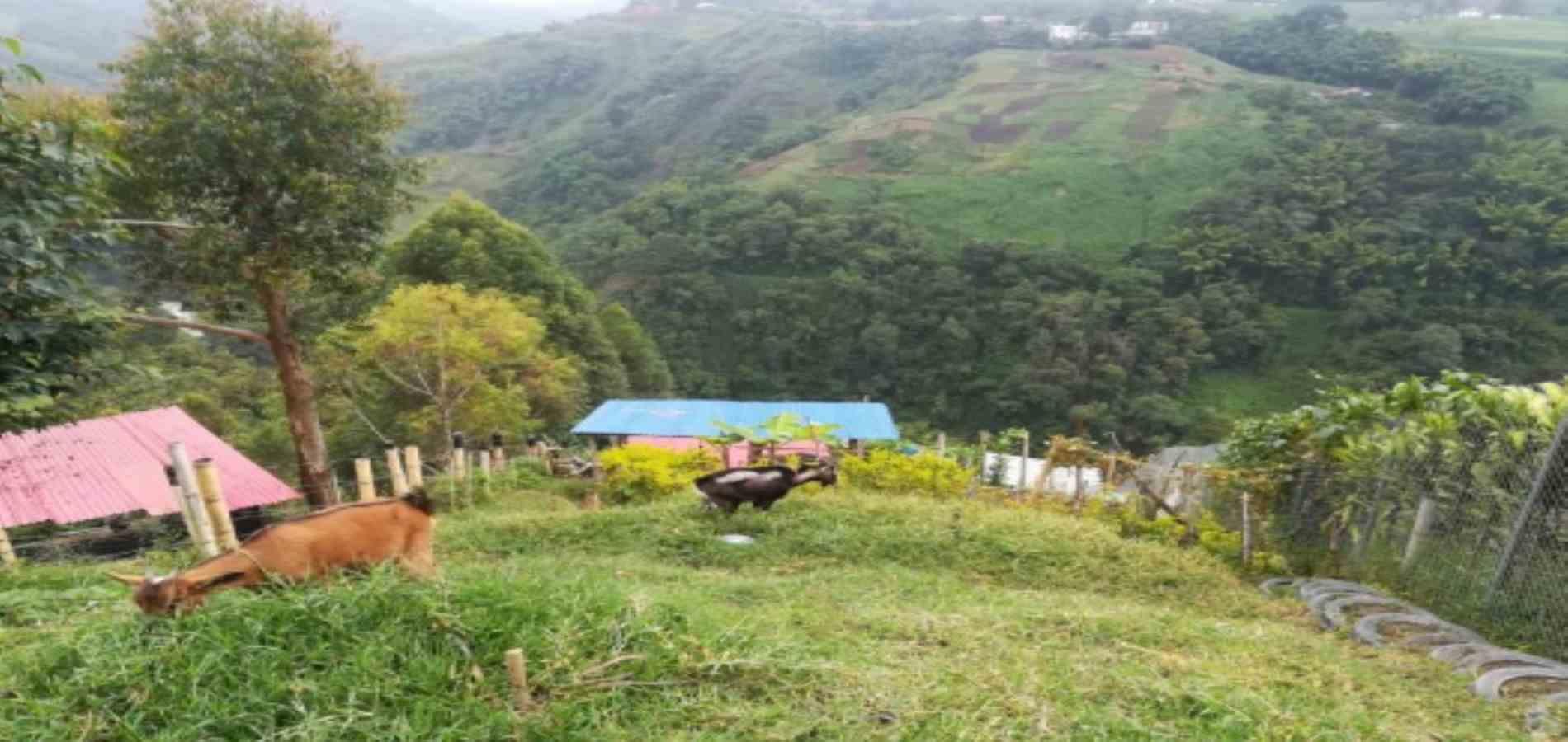 Foto de Lote / terreno en Venta en Vereda minitas , Manizales - 3 - 279025810