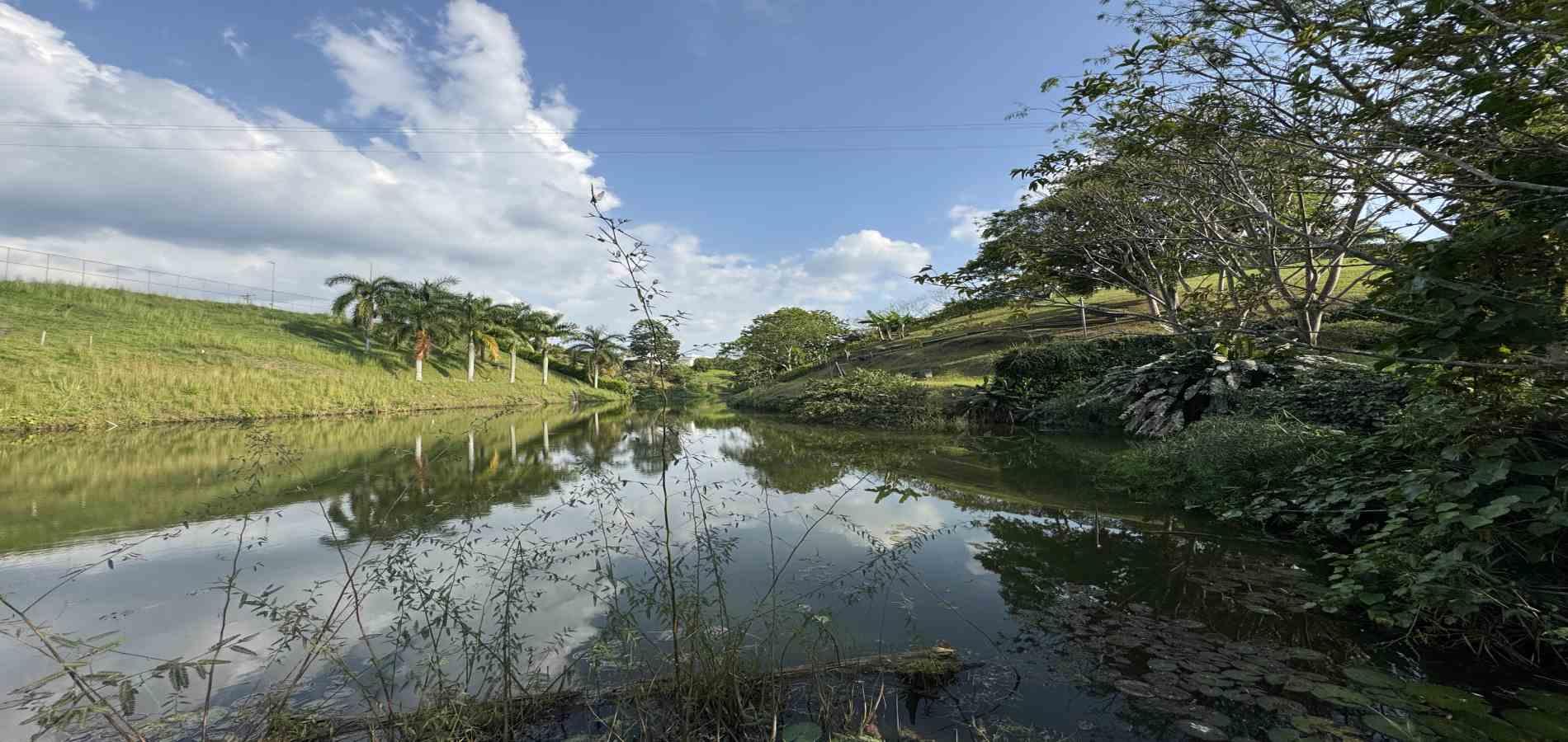 Foto de Lote / terreno en Venta en Combia, Pereira - 12 - 279060485