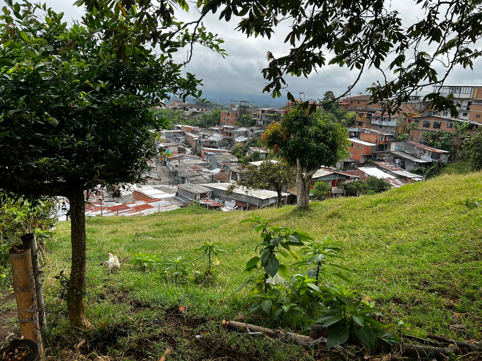 Foto de Lote / terreno en Venta en Altagracia, Pereira - 13 - 279056515