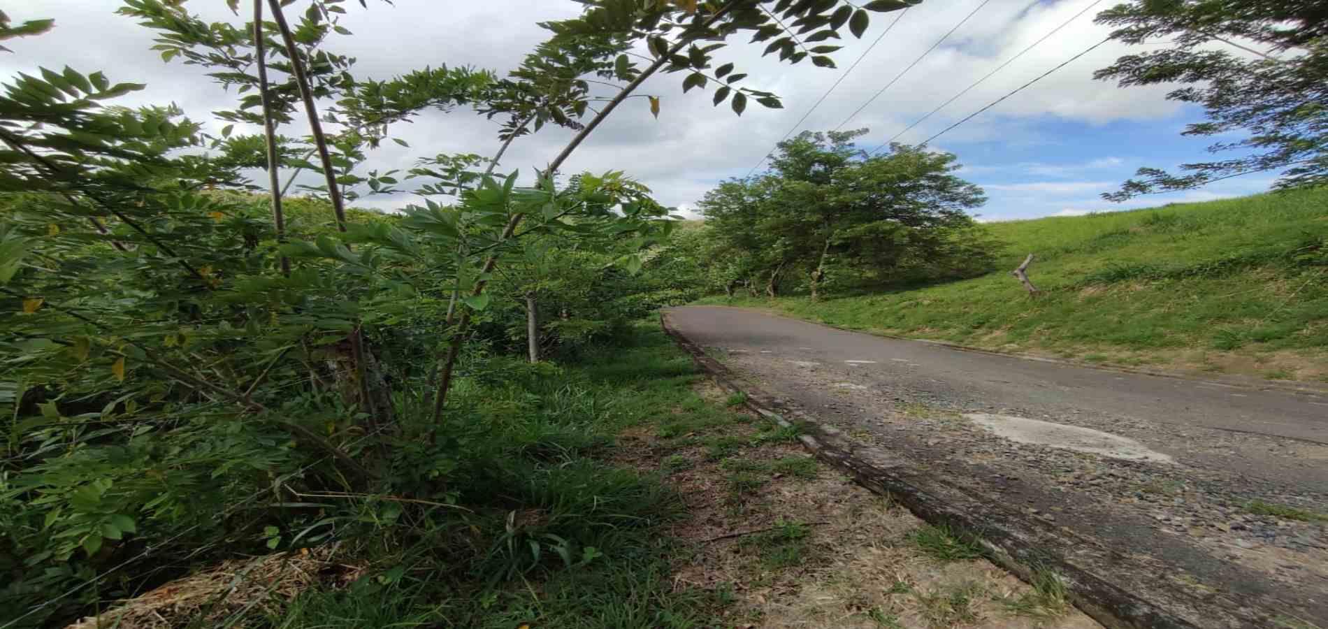 Foto de Lote / terreno en Venta en Cerritos, Pereira - 4 - 279063220