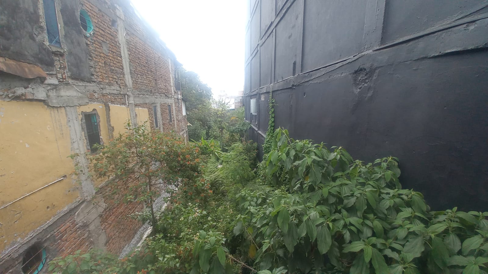 Foto de Lote / terreno en Venta en Fundadores, Armenia  - 1 - 279056606