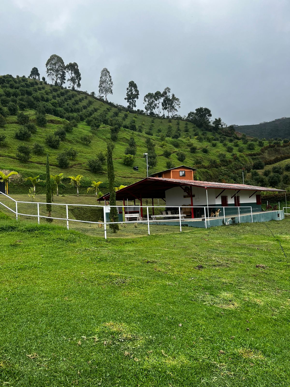 Foto de Finca en Venta en La florida, Pereira - 11 - 279058759