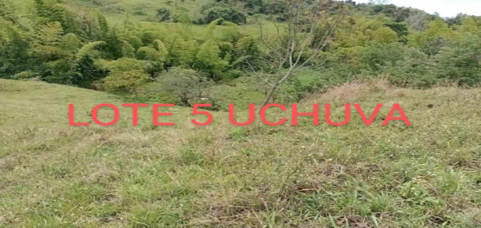 Foto de Lote / terreno en Venta en Vereda armenia , Neira - 19 - 279026013