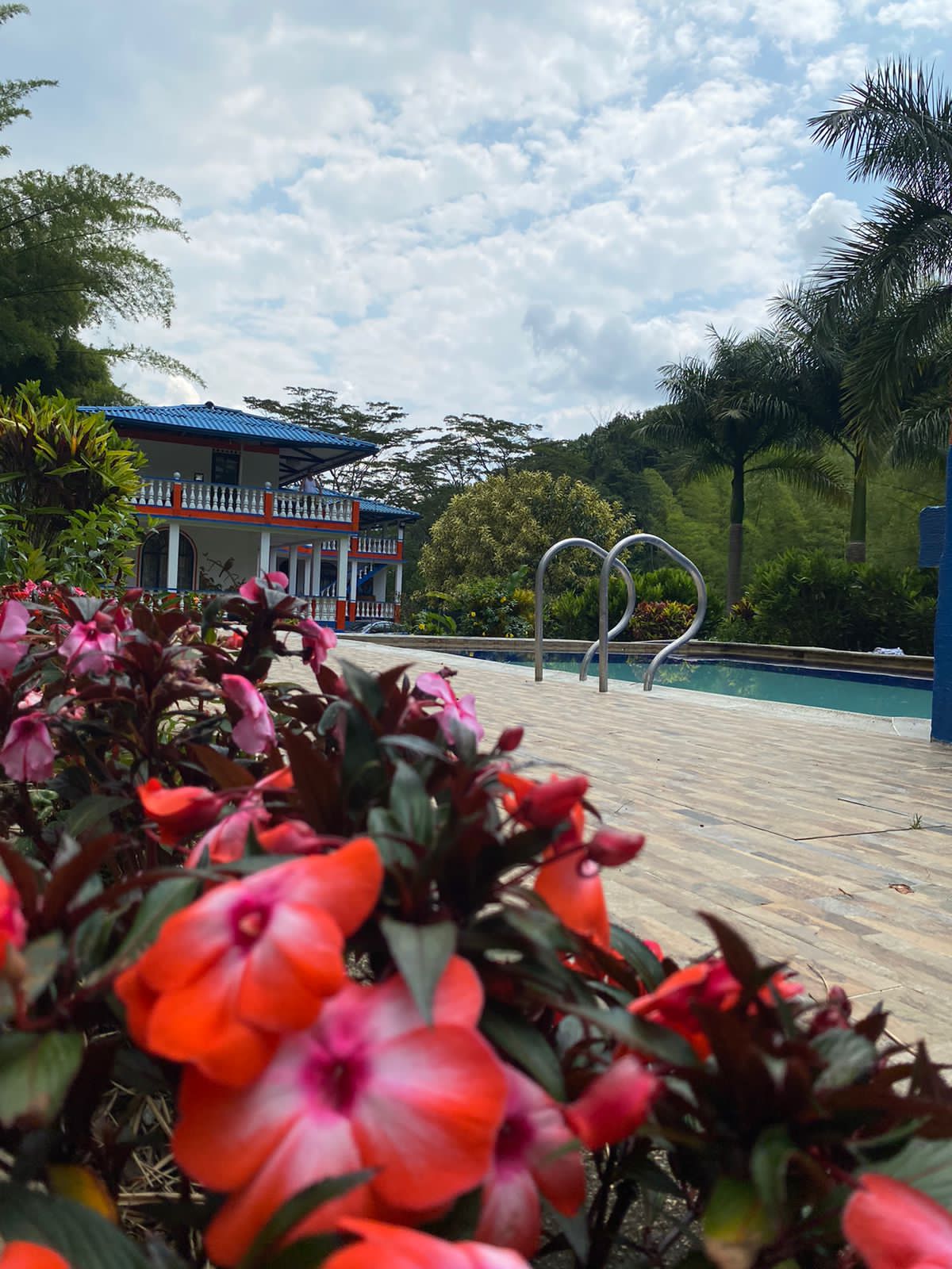 Foto de Finca en Venta en El guineo, Neira - 17 - 279053579