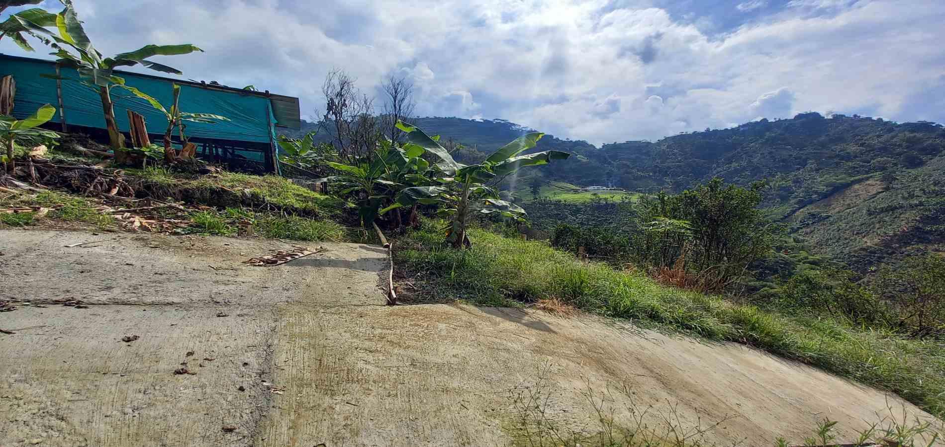 Foto de Finca en Venta en San peregrino, Manizales - 10 - 279061656