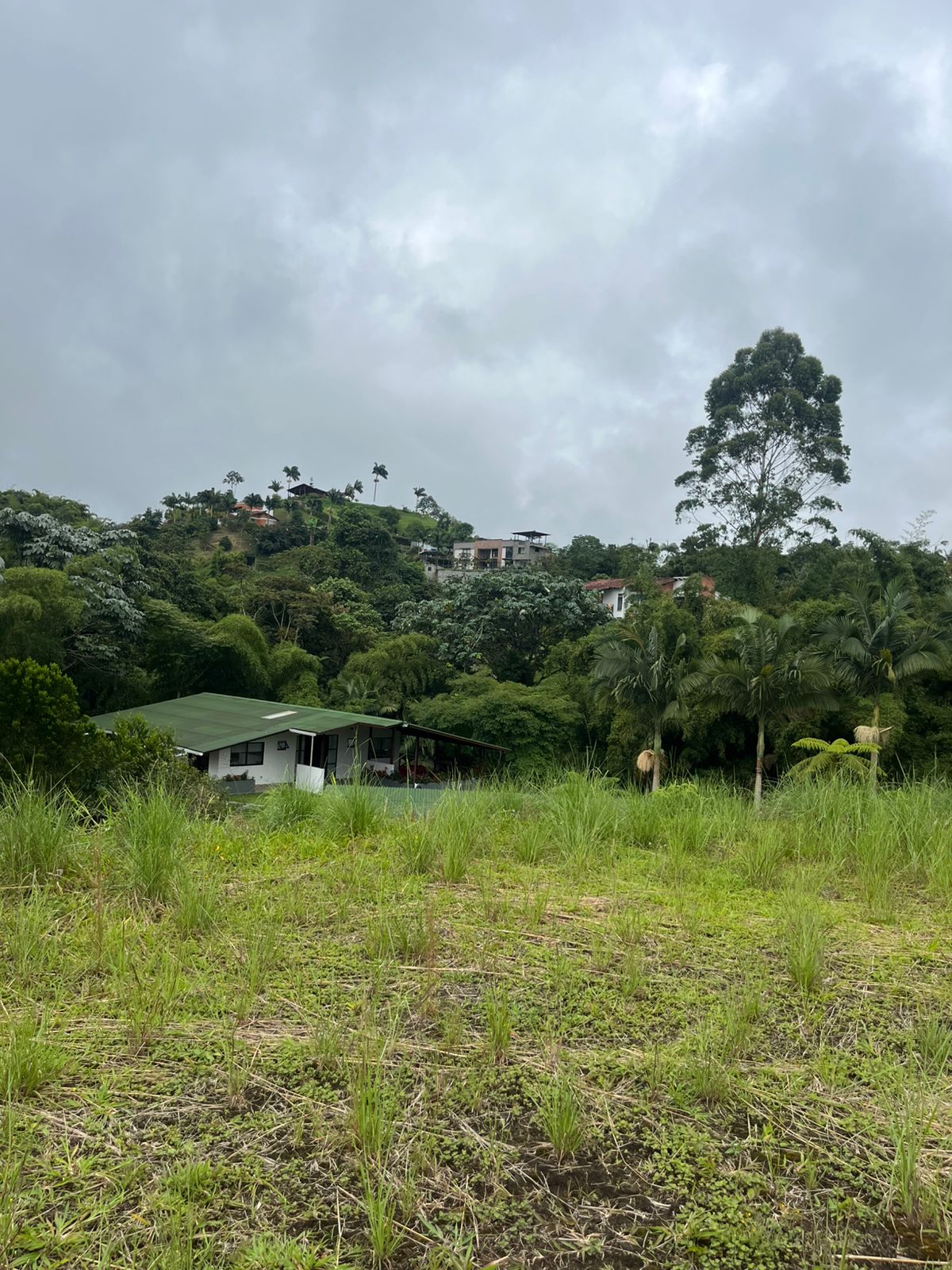 Foto de Lote / terreno en Venta en Condina, Pereira - 6 - 279063086