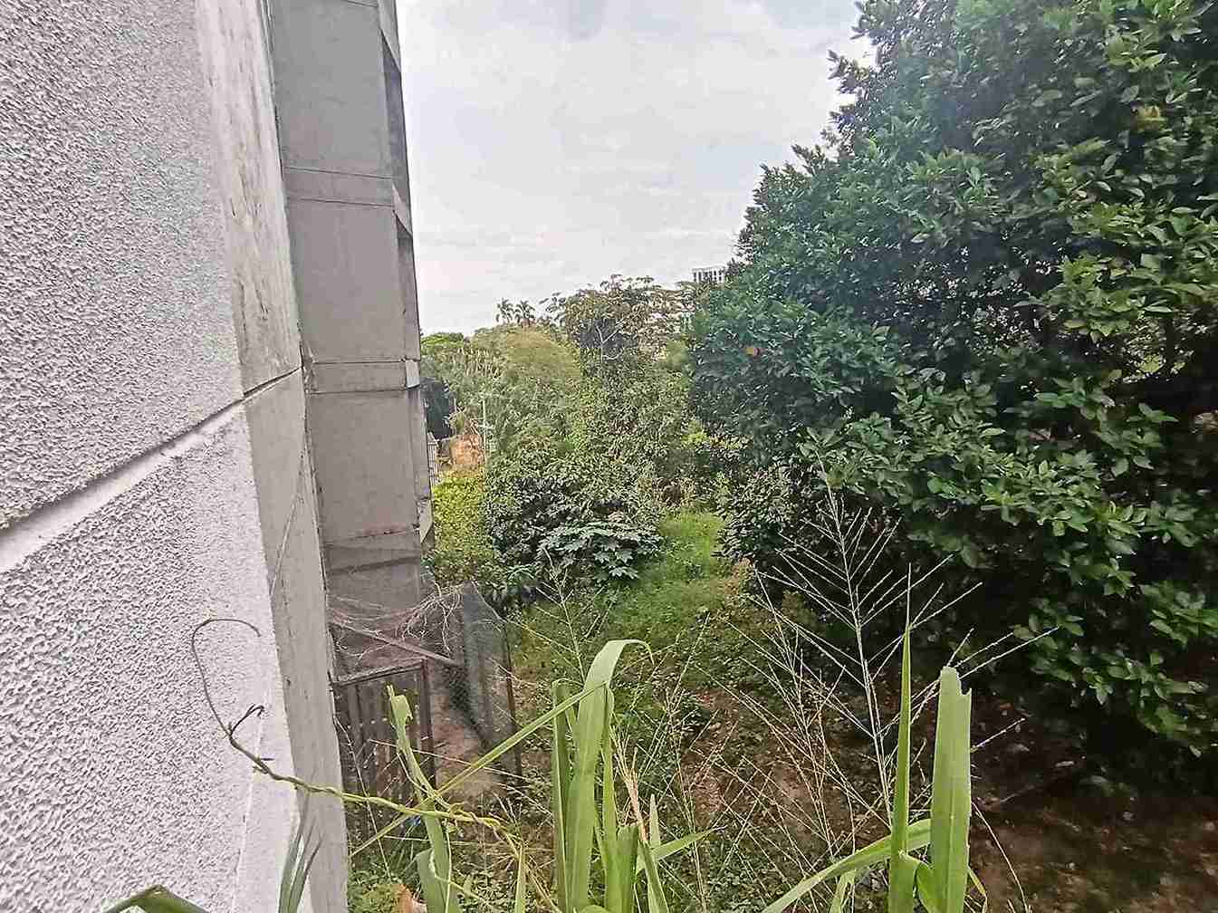 Foto de Lote / terreno en Venta en Avenida 19 norte, Armenia  - 9 - 279058970