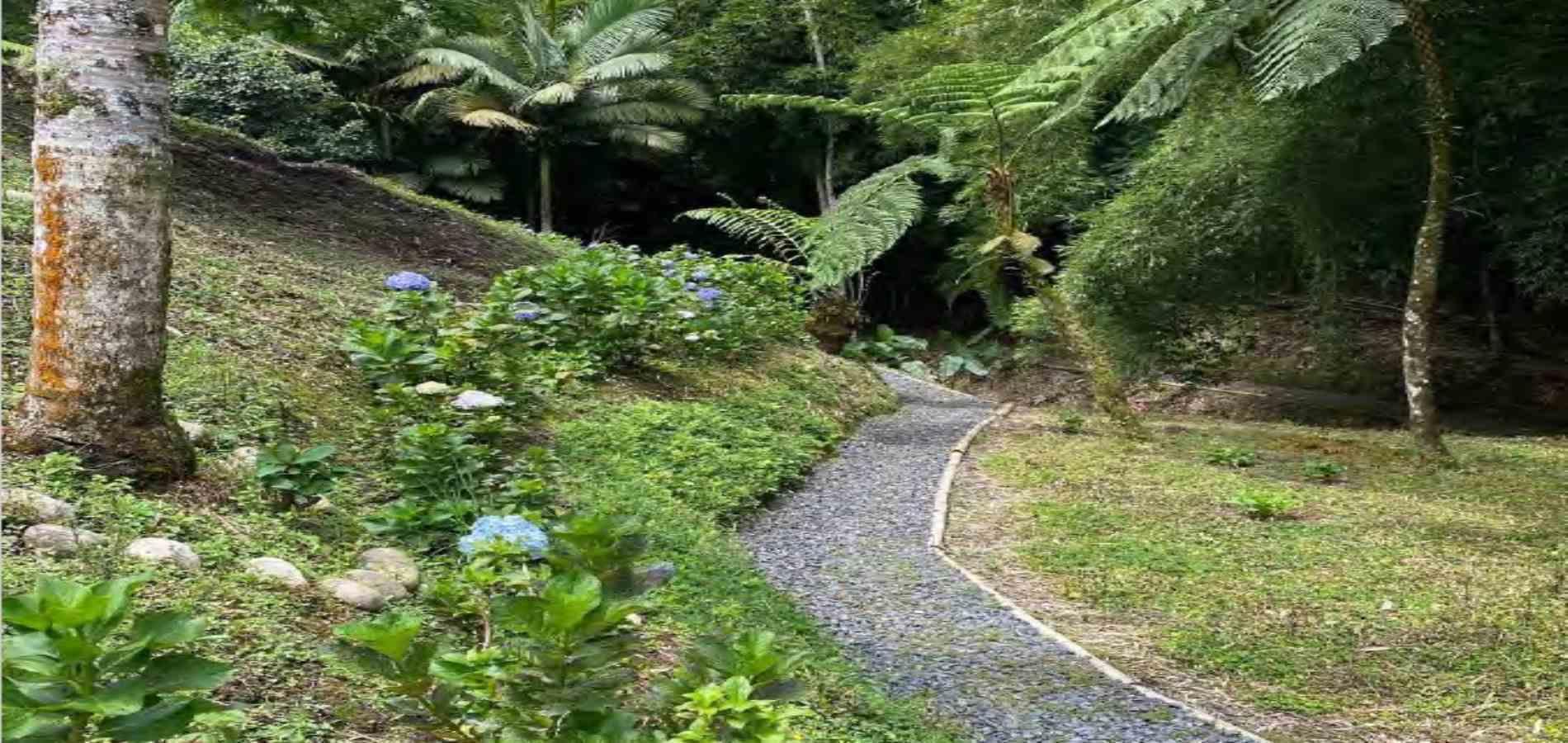 Foto de Casa campestre en Venta en Via armenia, Pereira - 7 - 279056555
