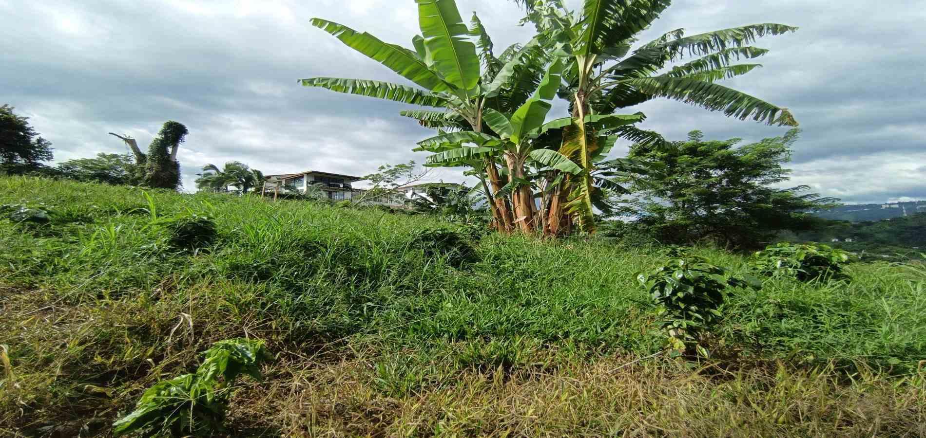 Foto de Lote / terreno en Venta en San peregrino, Manizales - 8 - 279068552