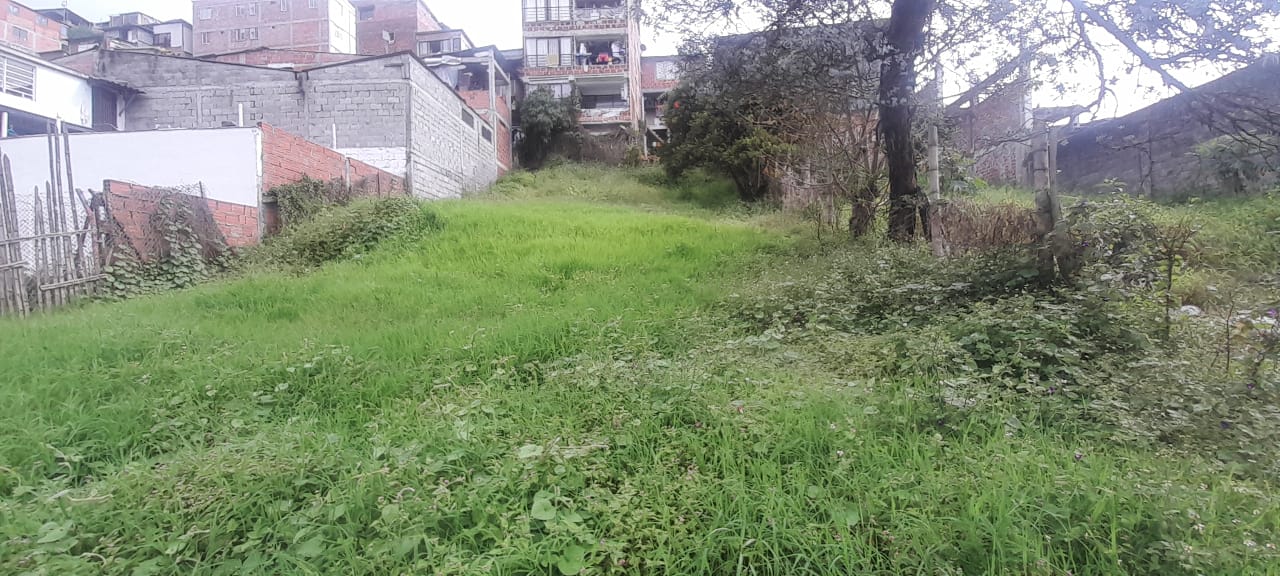 Foto de Lote / terreno en Venta en Urapanes, Villamaria - 8 - 53078