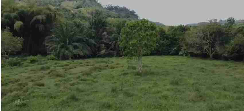 Foto de Lote / terreno en Venta en Vereda santagueda, Palestina - 4 - 279057325