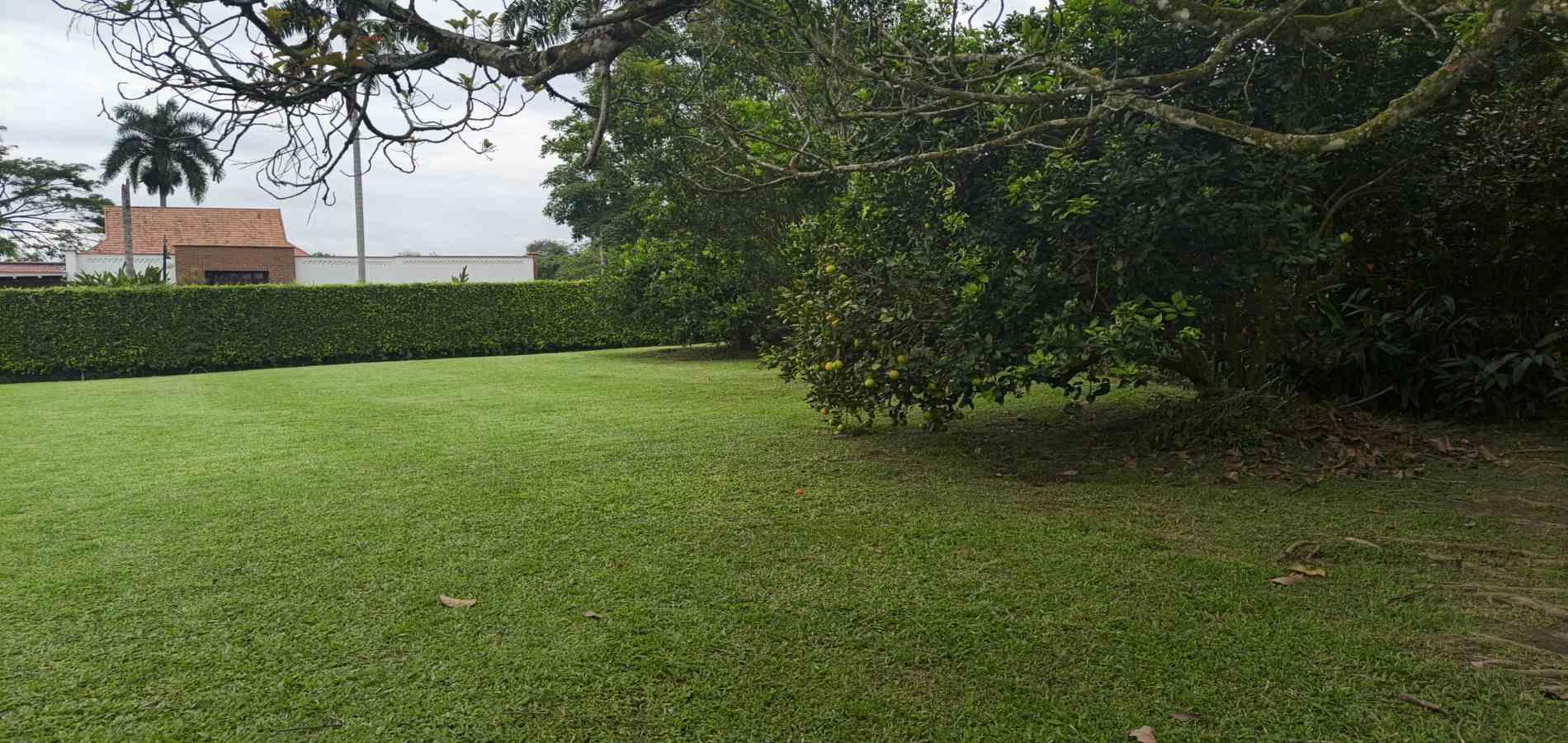 Foto de Casa en Arriendo en El caimo, Armenia  - 15 - 279066662