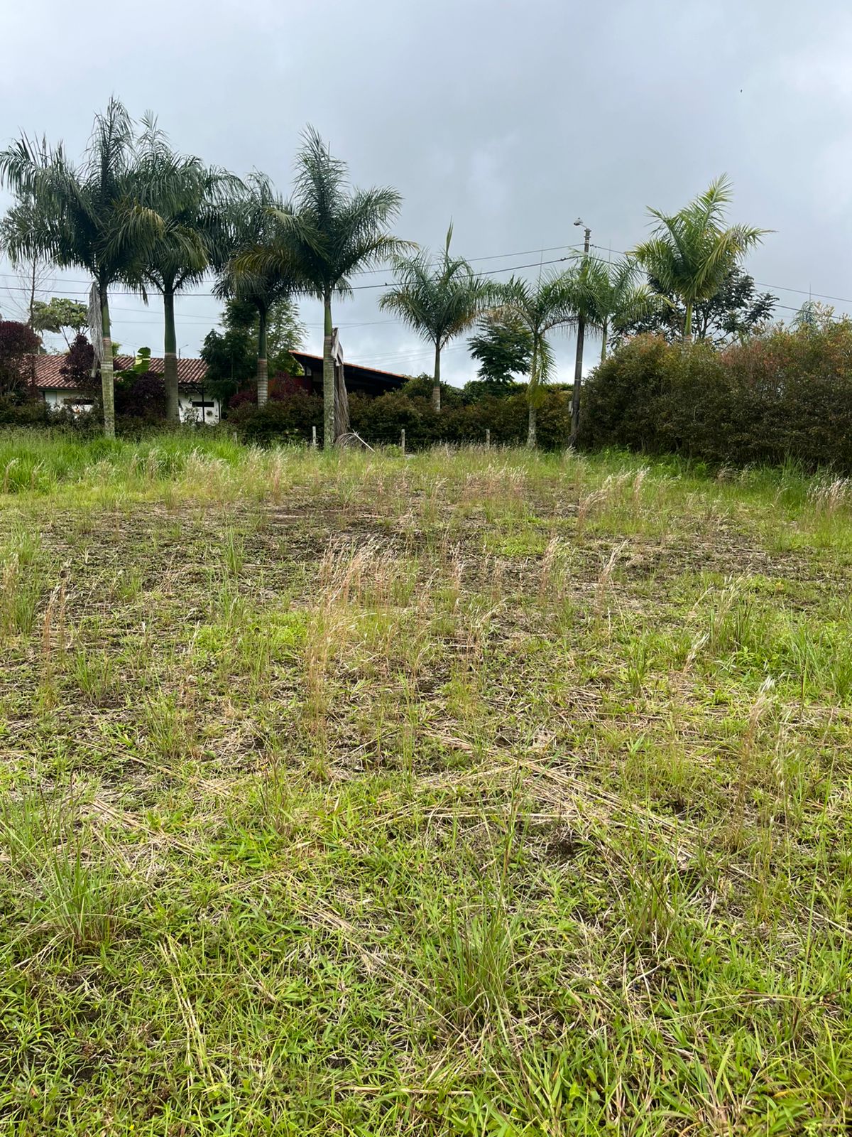 Foto de Lote / terreno en Venta en Condina, Pereira - 8 - 279063086