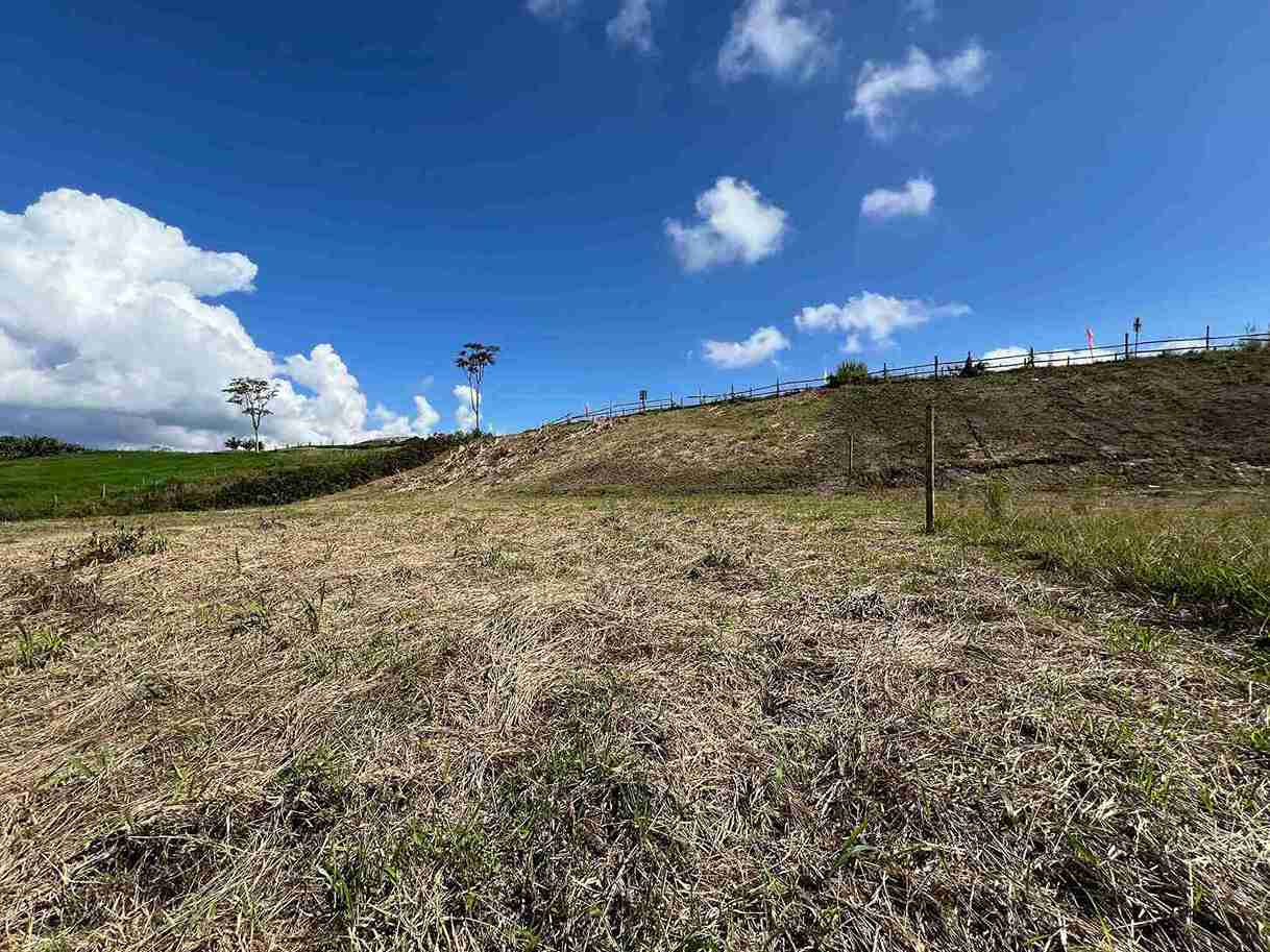 Foto de Lote / terreno en Venta en Colombia i, Santa rosa de cabal - 0 - 279057954