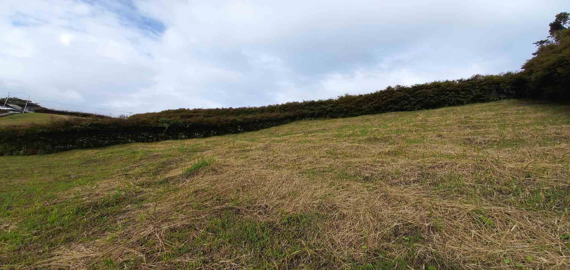 Foto de Lote / terreno en Venta en Vereda el lembo, Santa rosa de cabal - 8 - 279067015