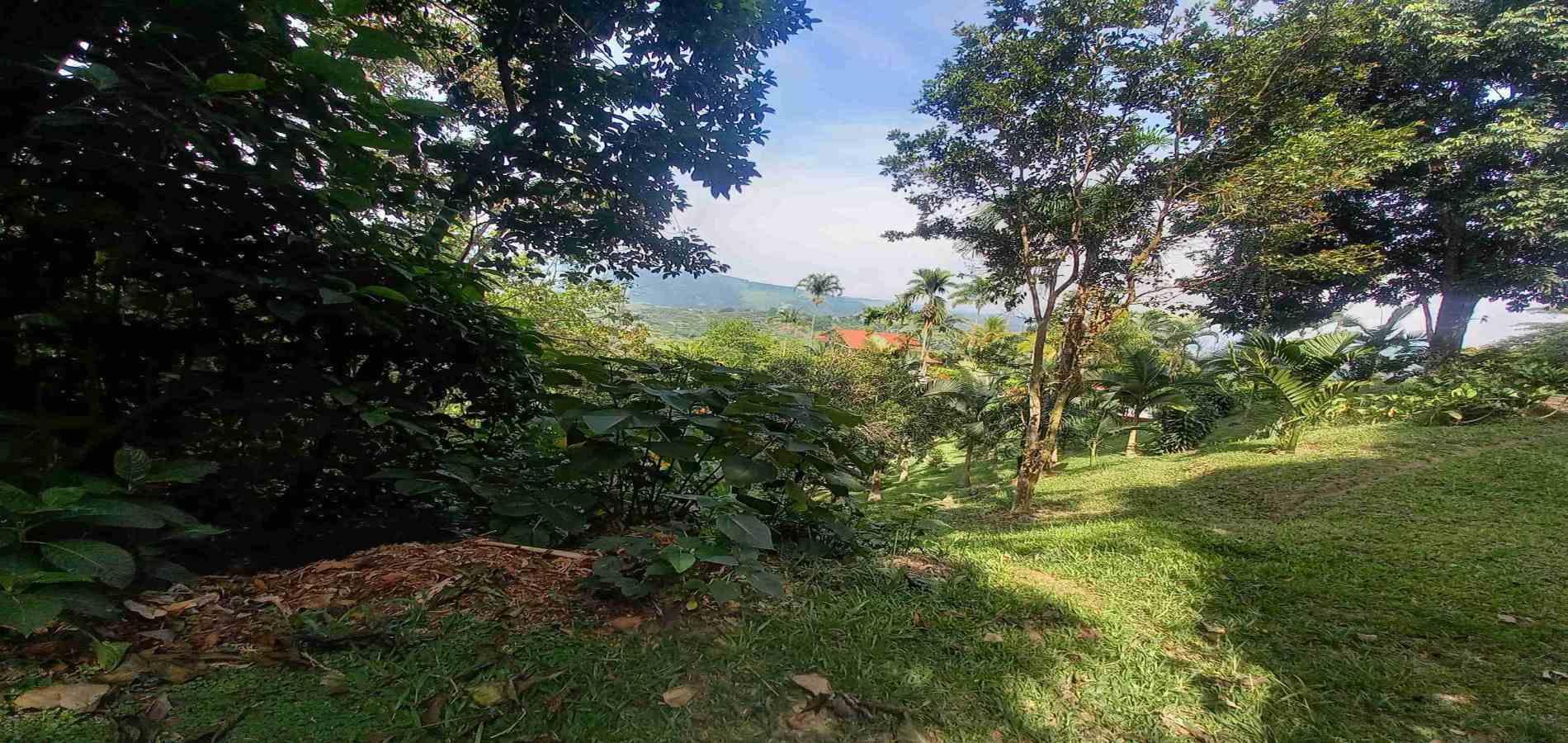 Foto de Lote / terreno en Venta en San peregrino, Manizales - 15 - 279056638