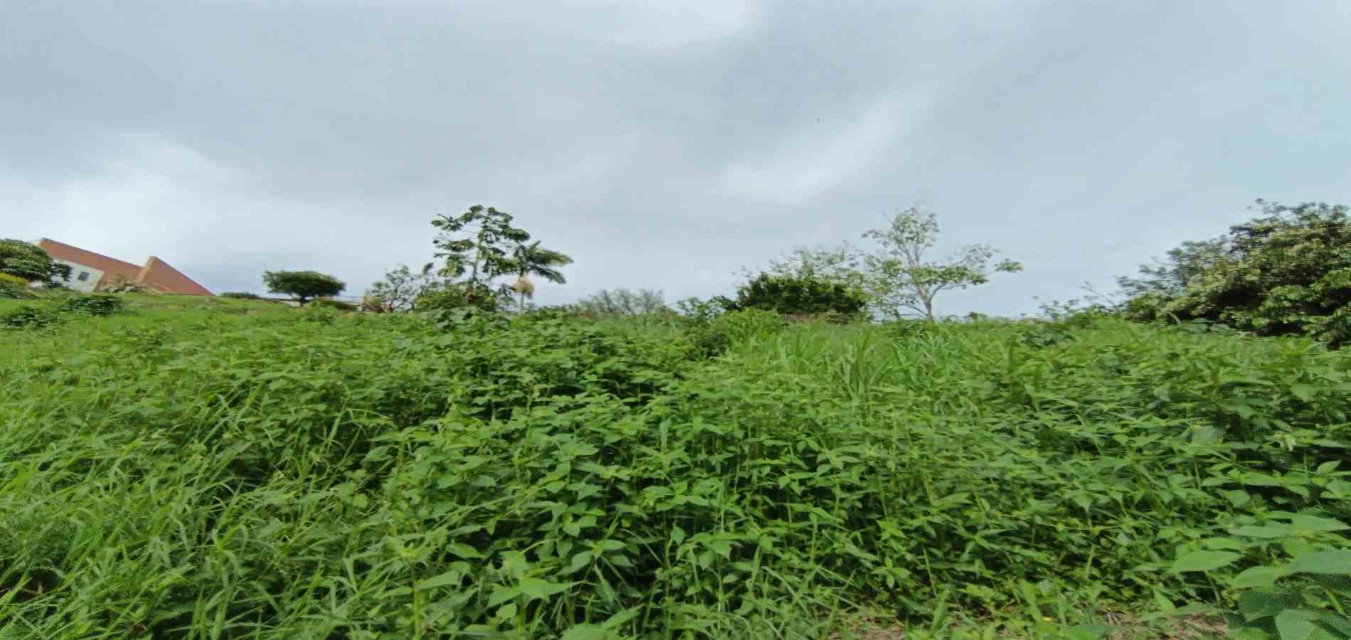 Foto de Lote / terreno en Venta en San bernardo del viento , Manizales - 11 - 279068029
