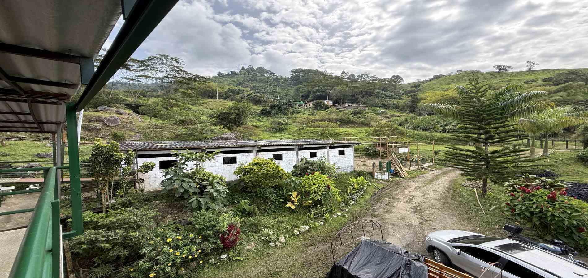 Foto de Finca en Venta en Agua azul, Dosquebradas - 2 - 279063271