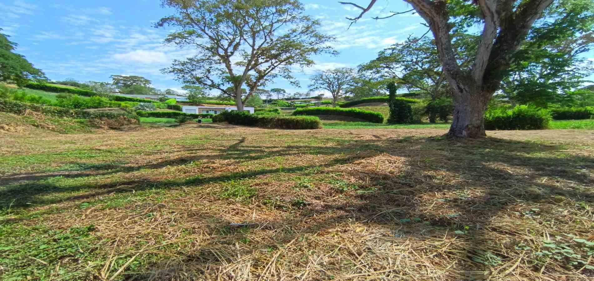 Foto de Lote / terreno para Venta en Palermo, Manizales - 279069979