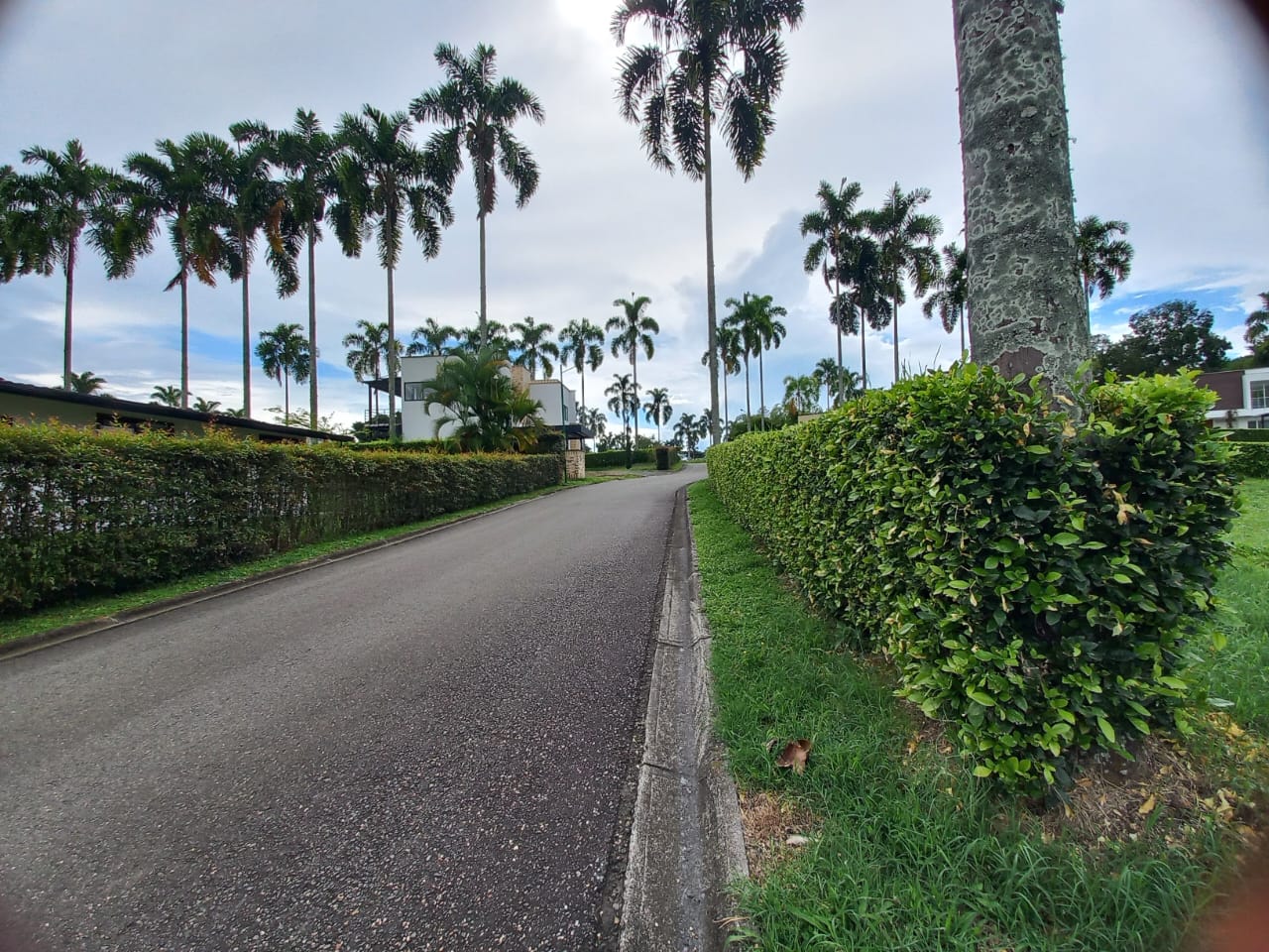 Foto de Lote / terreno en Venta en Cerritos, Pereira - 11 - 279066386