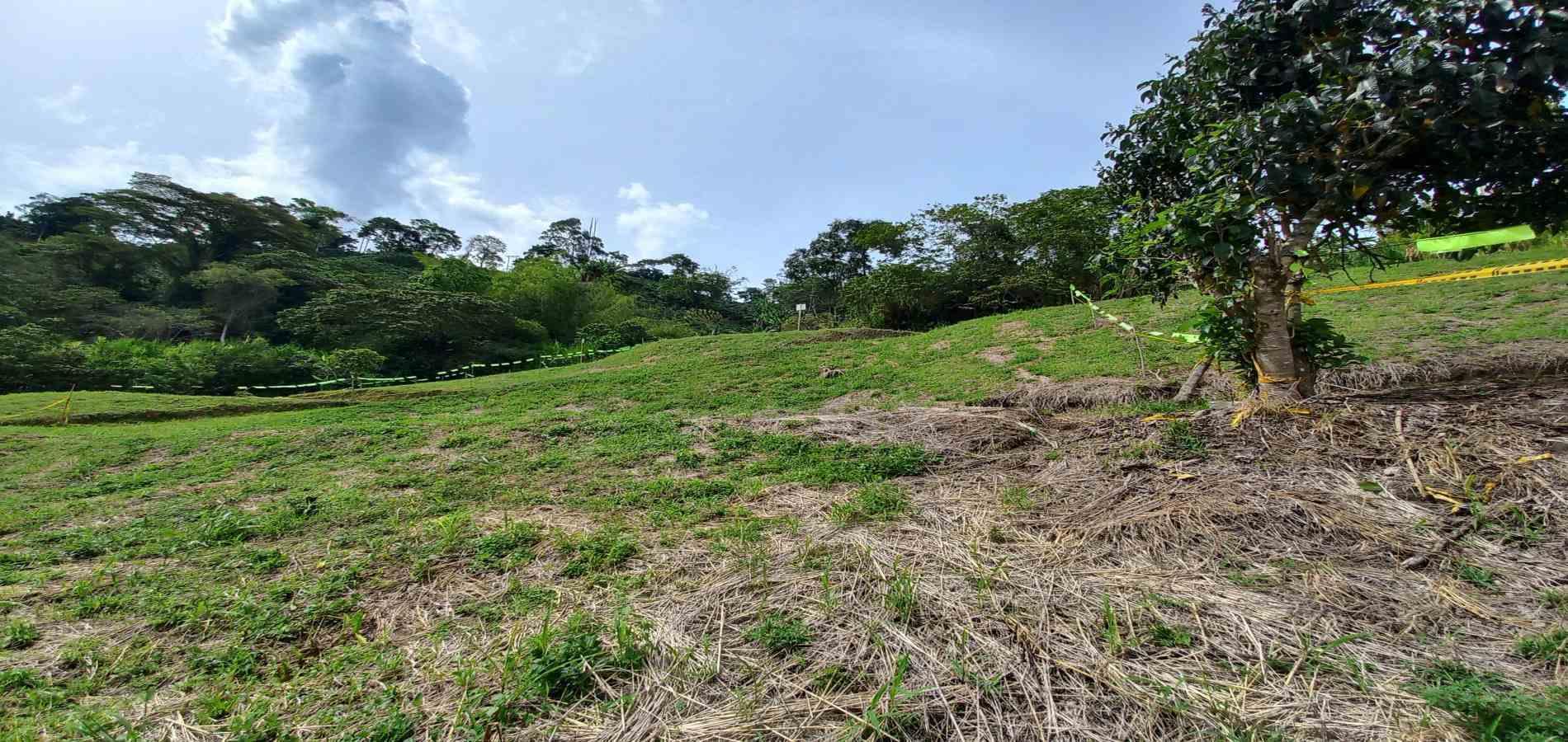 Foto de Lote / terreno en Venta en Combia, Pereira - 11 - 279069589