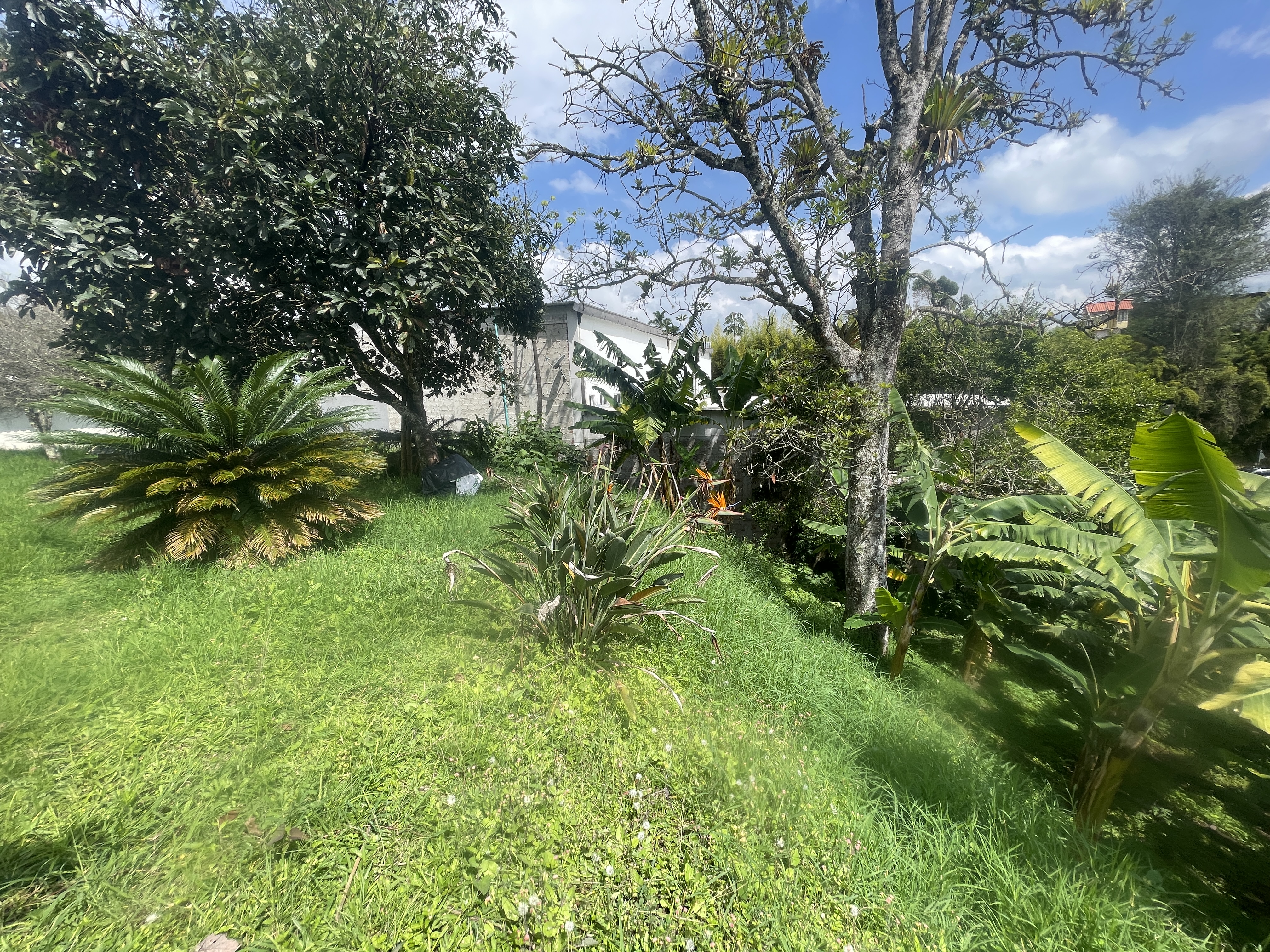 Foto de Lote / terreno en Venta en Av bolivar, Armenia  - 7 - 279065795