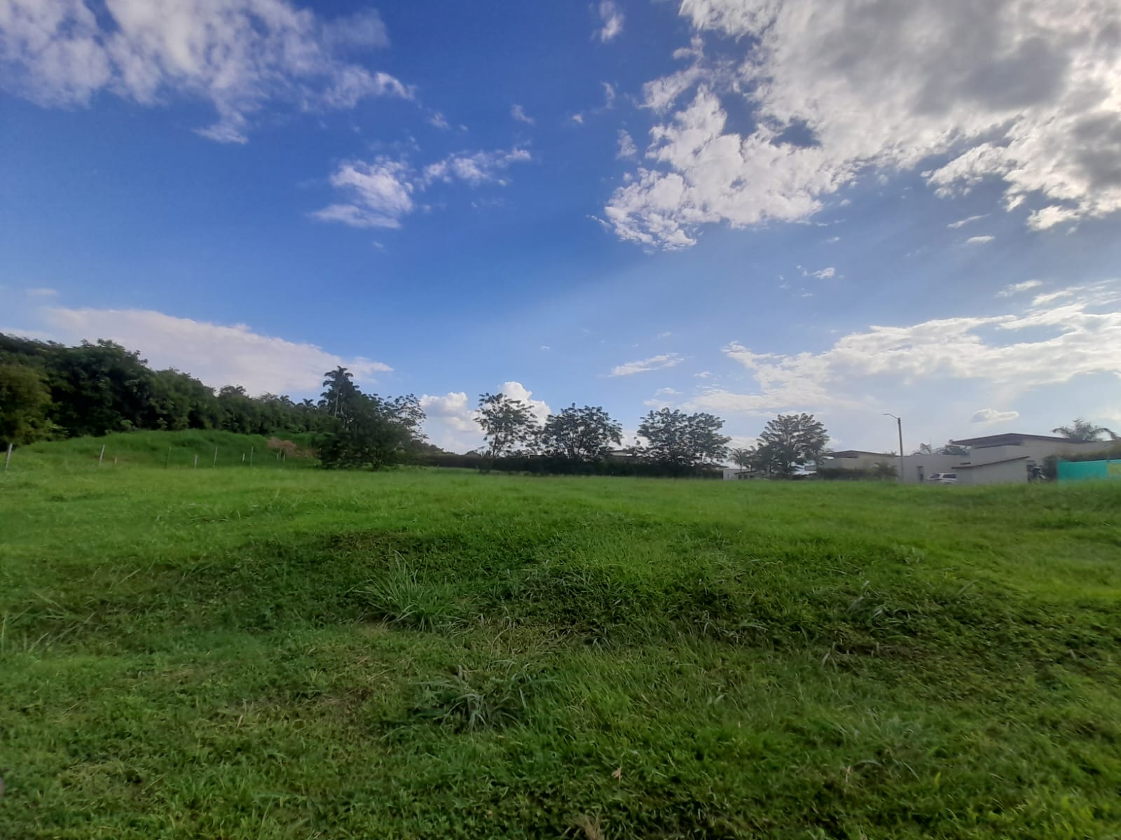 Foto de Lote / terreno en Venta en La floresta, Pereira - 4 - 279065198