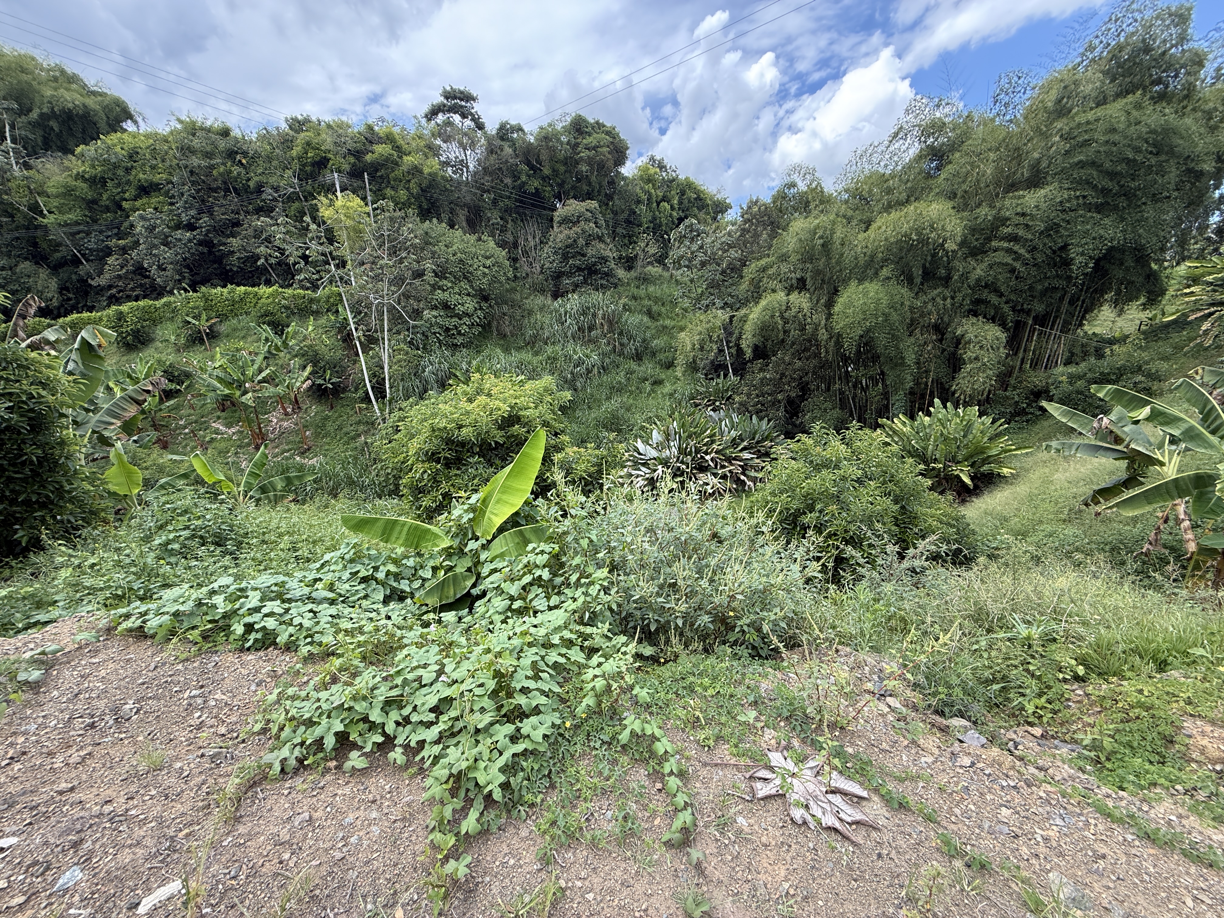 Foto de Lote / terreno en Venta en Cuba , Pereira - 7 - 279065163