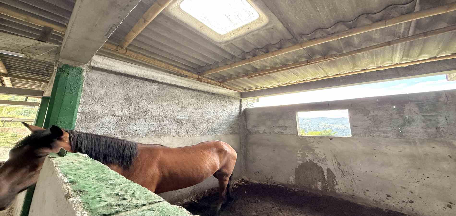 Foto de Finca en Venta en Agua azul, Dosquebradas - 9 - 279063271