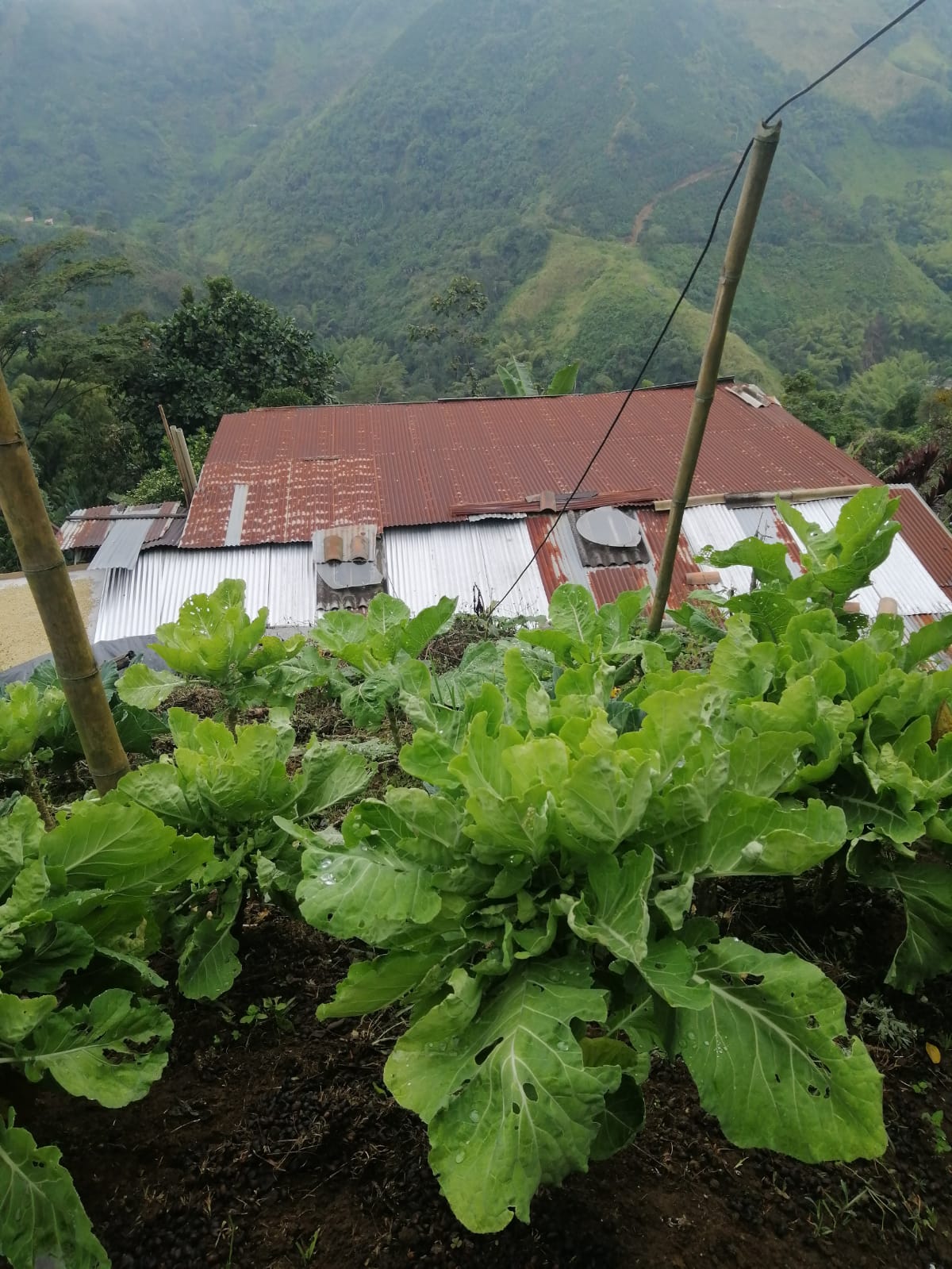 Foto de Lote / terreno en Venta en Llanitos, Villamaria - 5 - 279026006