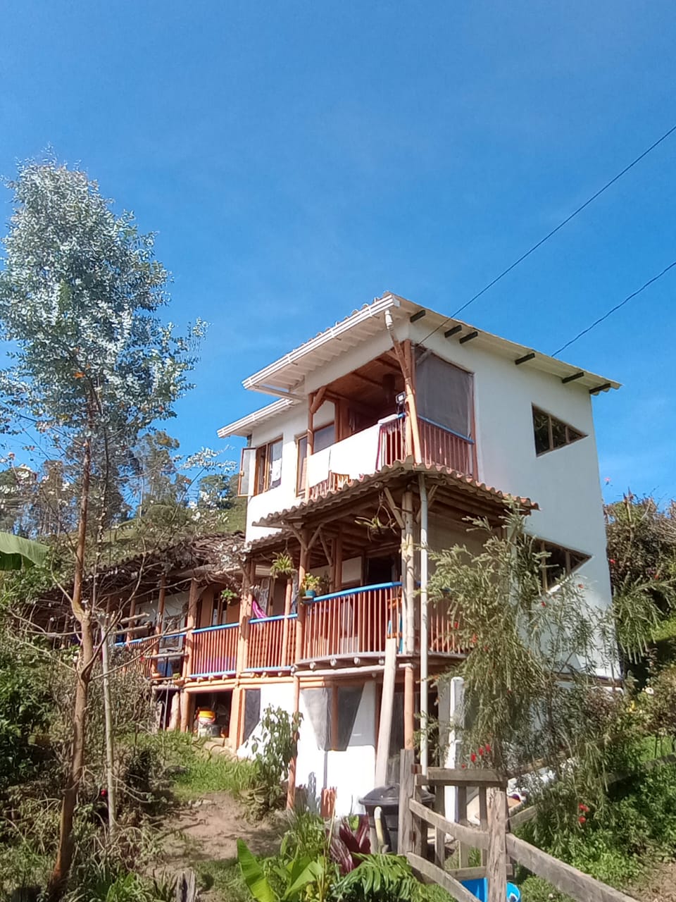 Foto de Finca en Venta en Alto castillo, Villamaria - 9 - 279061533