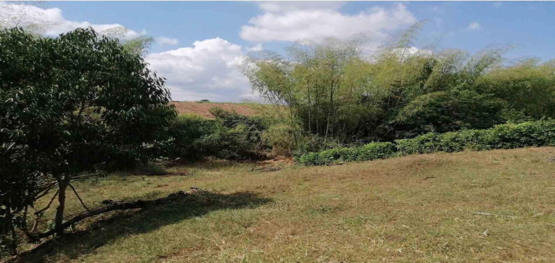 Foto de Lote / terreno en Venta en Cerritos, Pereira - 10 - 2791024501