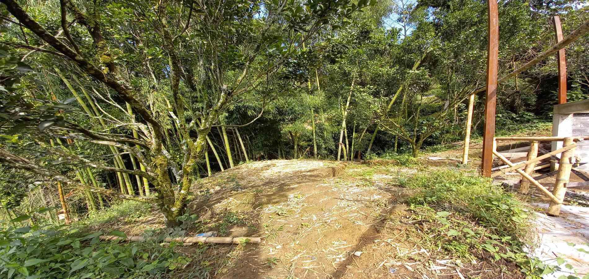 Foto de Finca en Venta en San peregrino, Manizales - 18 - 279061656
