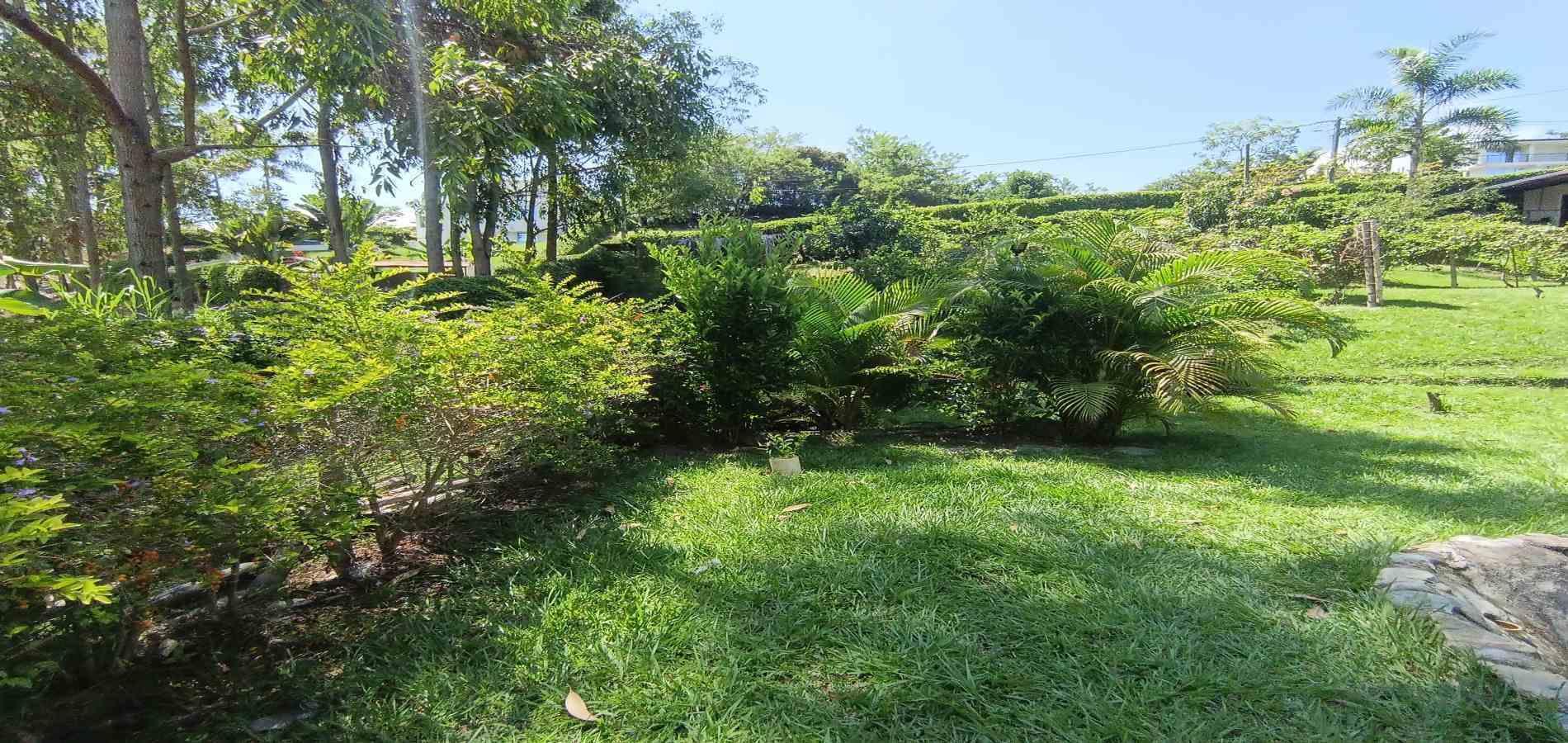Foto de Lote / terreno en Venta en Vereda palermo, Neira - 16 - 279068279