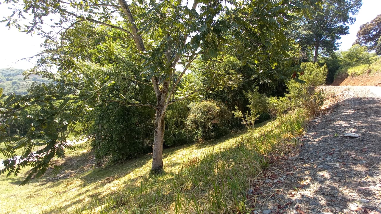 Foto de Lote / terreno en Venta en Vereda santagueda, Palestina - 1 - 279058796