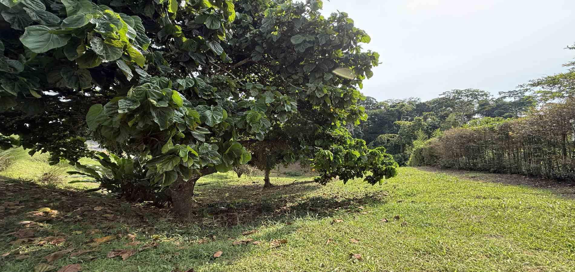 Foto de Lote / terreno en Venta en Cerritos, Pereira - 3 - 279062245