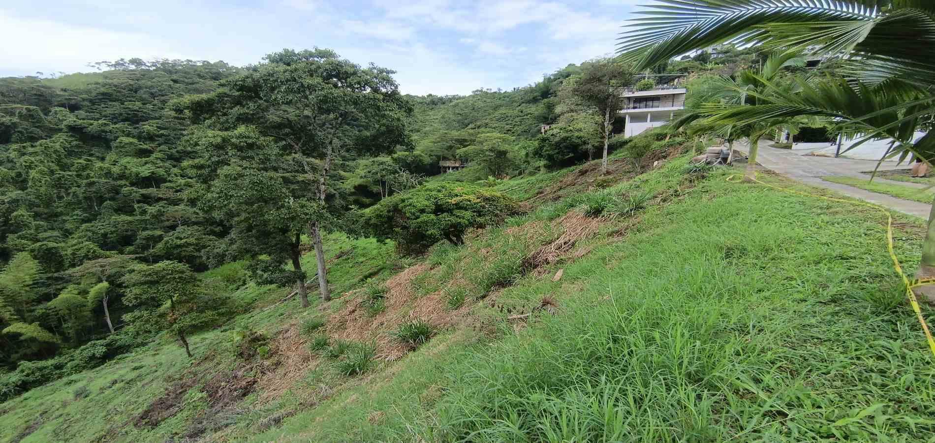 Foto de Lote / terreno en Venta en Vereda minitas , Manizales - 7 - 279068548