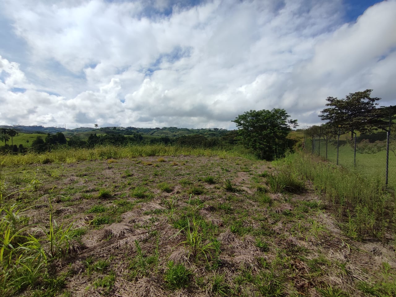 Foto de Lote / terreno en Venta en Centro, Pereira - 2 - 279063218