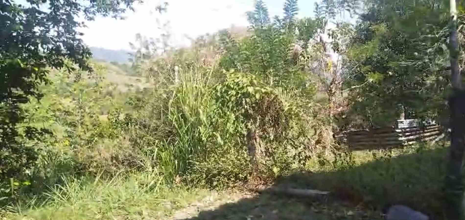 Foto de Finca en Venta en La florida, Filadelfia - 7 - 279064213
