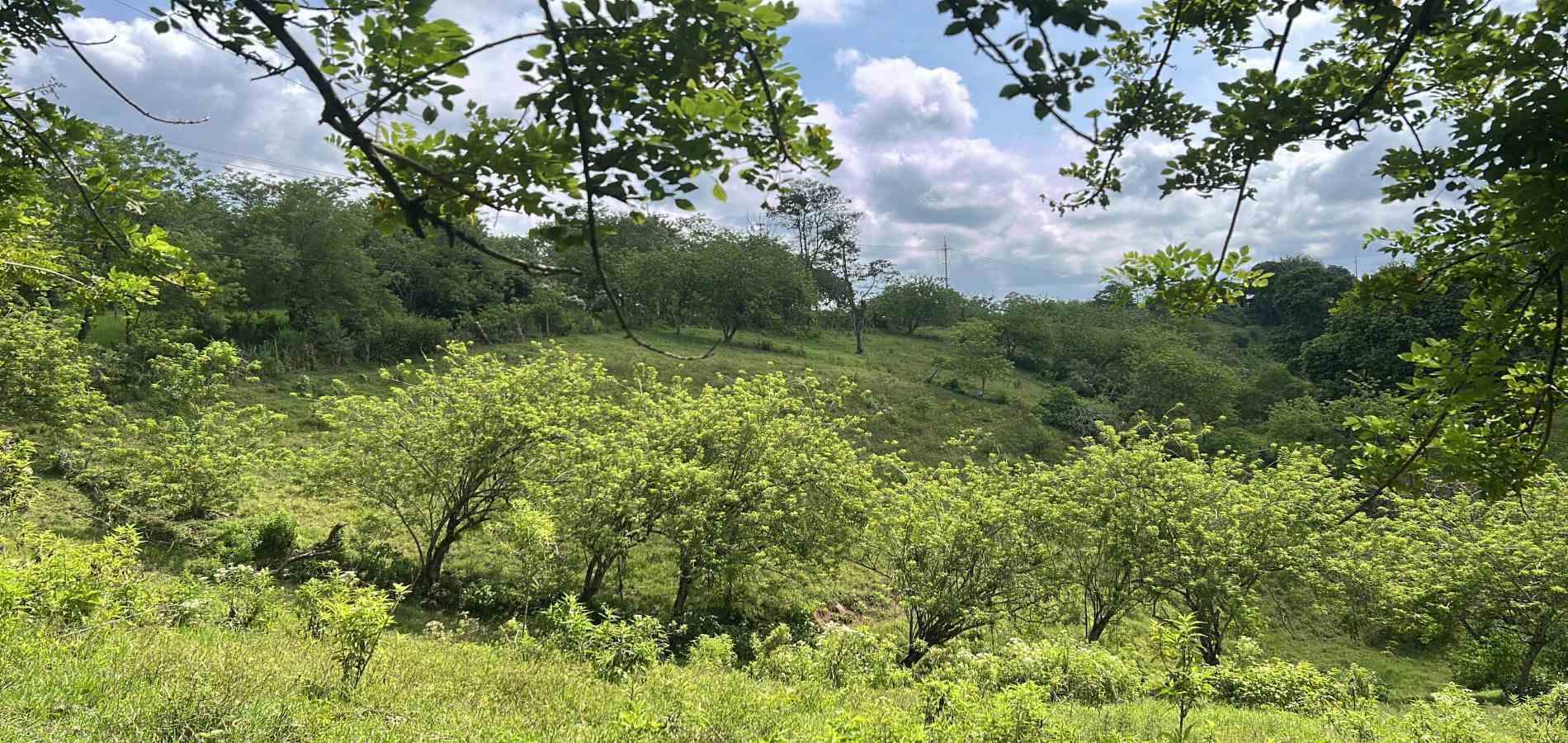 Foto de Lote / terreno en Venta en Via alcala, Pereira - 5 - 279066762