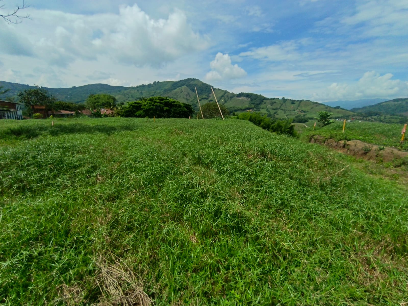 Foto de Lote / terreno en Venta en Vereda santagueda, Palestina - 11 - 279064499