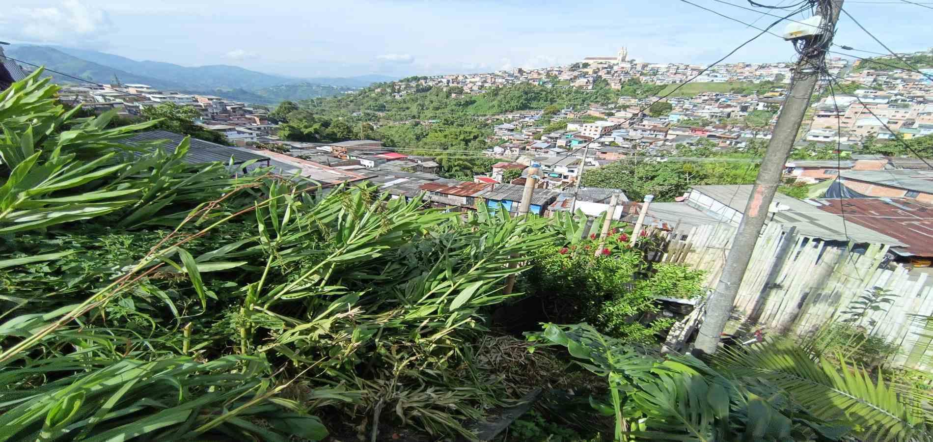 Foto de Lote / terreno en Venta en Campo amor, Manizales - 8 - 279067419