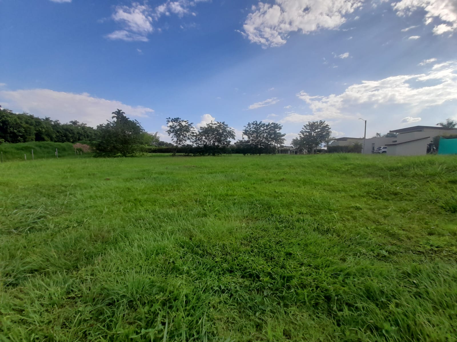 Foto de Lote / terreno en Venta en La floresta, Pereira - 5 - 279065198